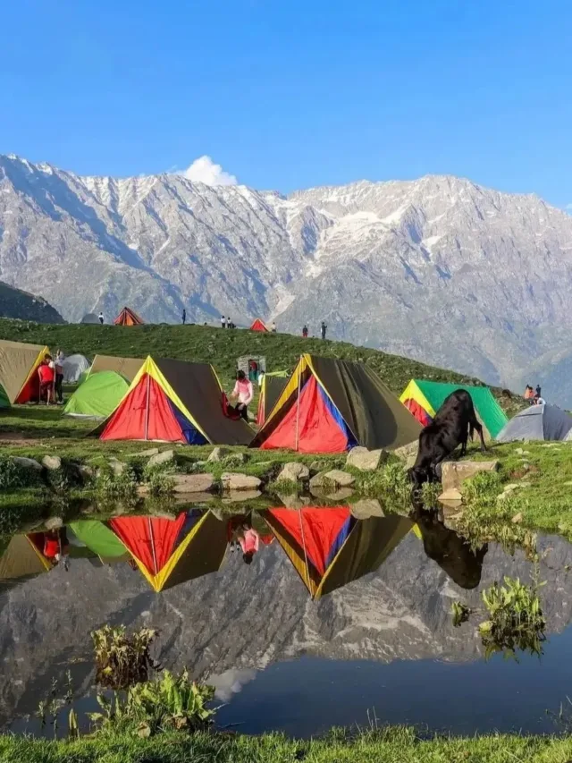 Triund Trek