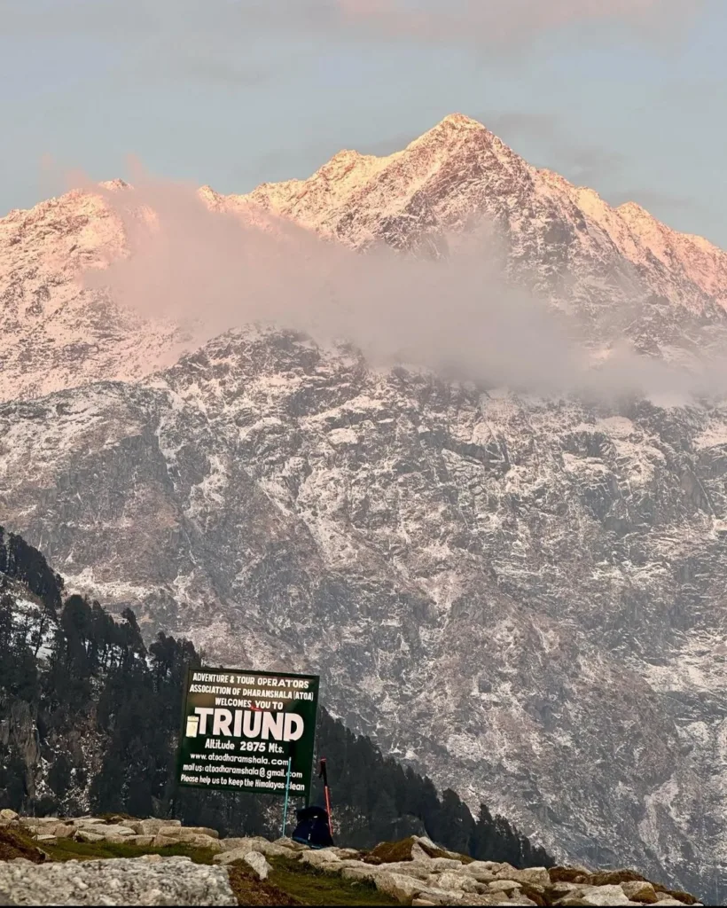 Triund Trek