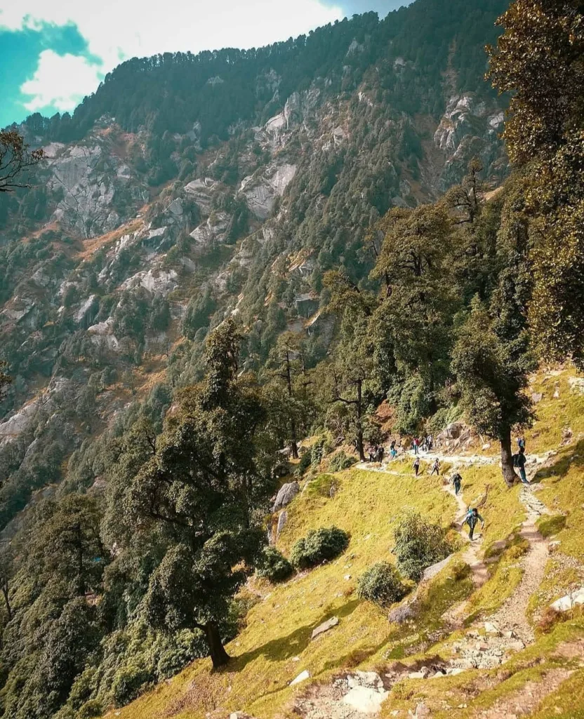 Triund Trek