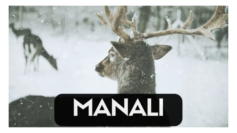 places to visit in manali